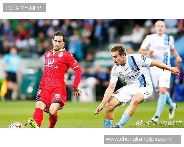 悉尼FC与中央海岸激情对决直播全程回顾与精彩瞬间分析