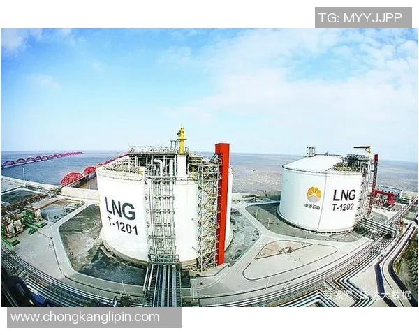 深度分析LNG产业链运营策略与市场趋势解读