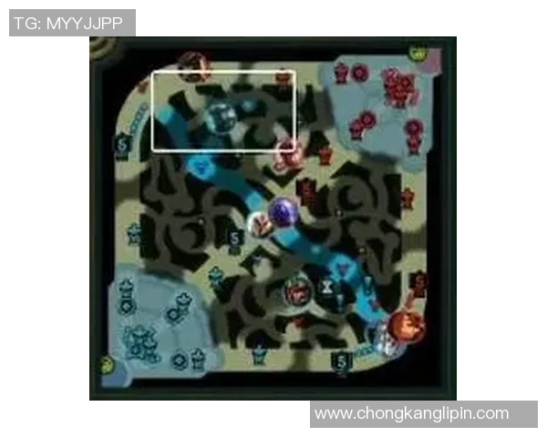 赛后复盘：V5与RNG对决中的速度较量与战术分析